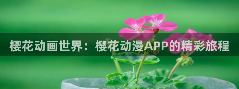 风车动漫 门户网站：樱花动画世界：樱花动漫APP的精彩旅程