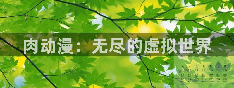 风车动漫在线播放：肉动漫：无尽的虚拟世界