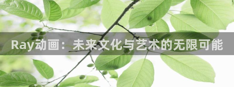 风车动漫网手机在线观看：Ray动画：未来文化与艺术的无限可能